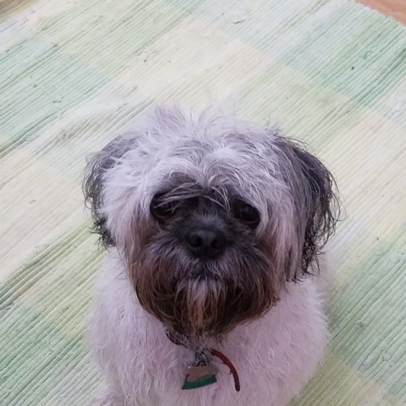 Meet your Posher, Jacqueline - Picture 1 of 1